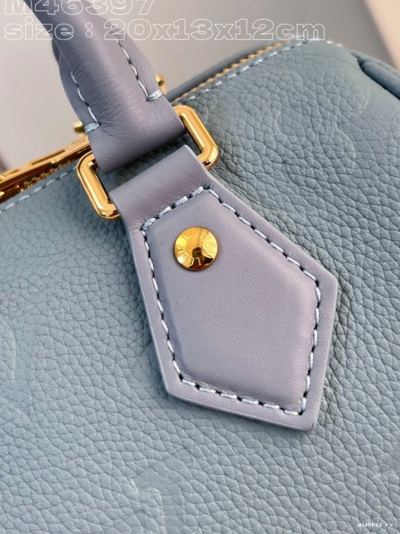 WIS SPEEDY BANDOULIÈRE 20 LOUIS VUITTON 1225